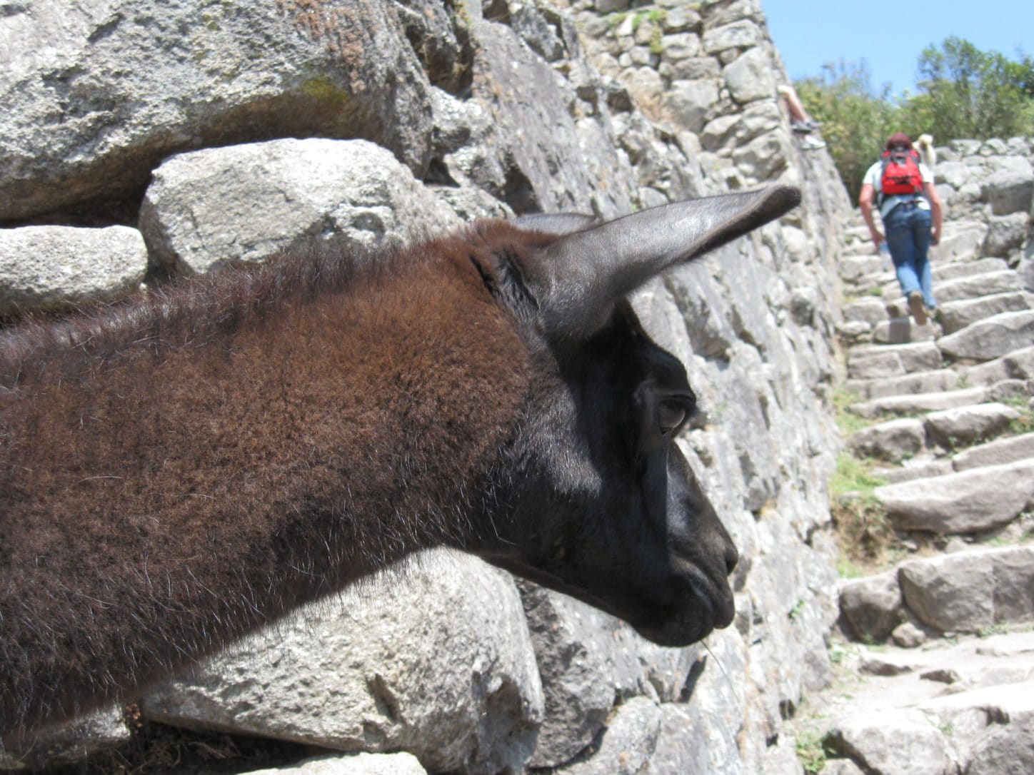 Peru Tourist Warning Eased