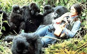 Celebrating Dian Fossey