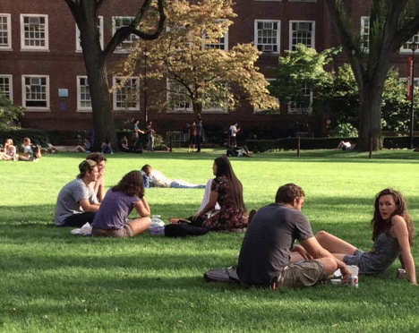 Rolling Jubilee Crowdsources to Eliminate Student Loan Debts