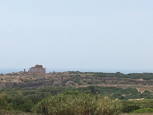 Acropolis of Selinunte Sicily