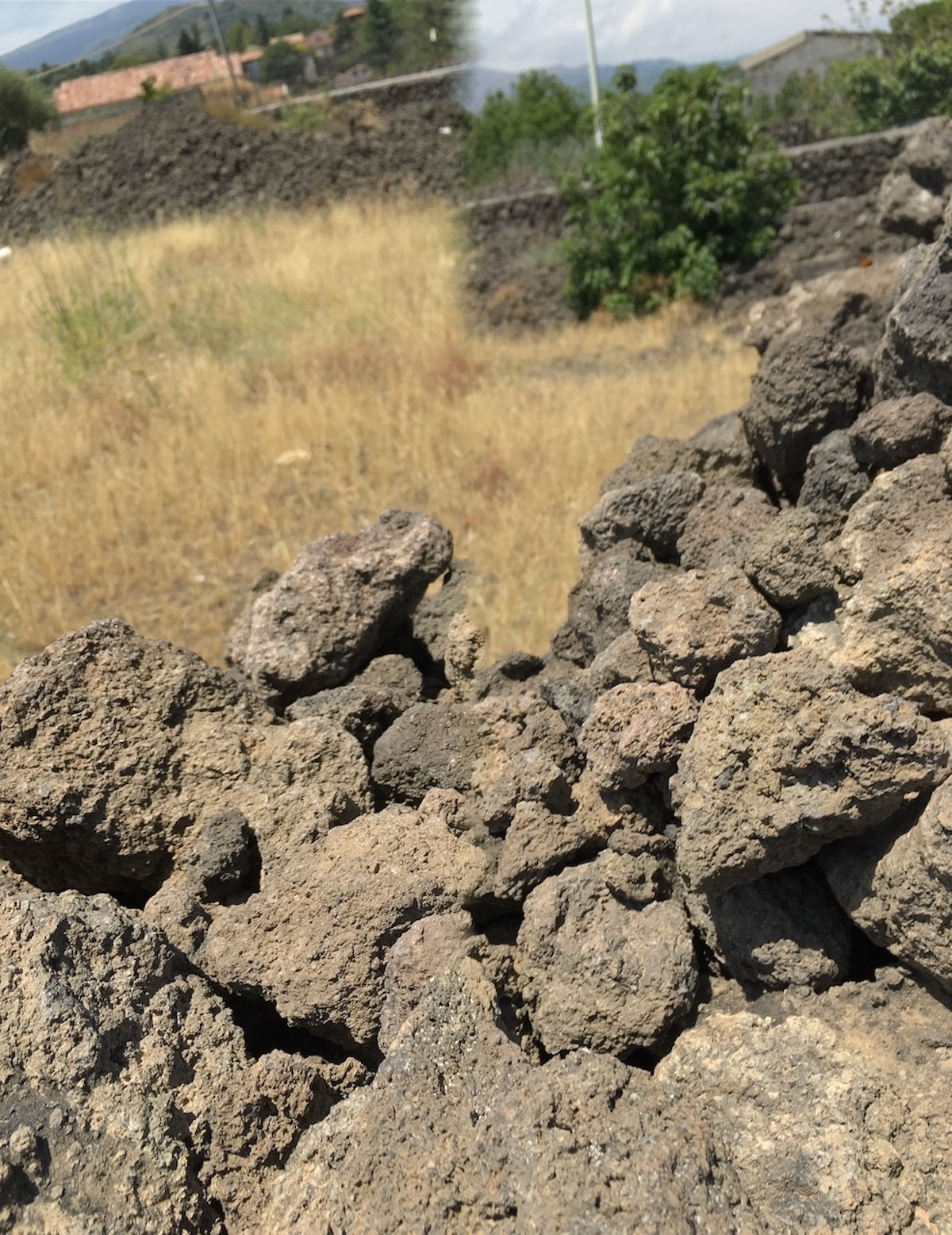 Lava rocks from Mount Etna. Photo by ConsumerMojo.com