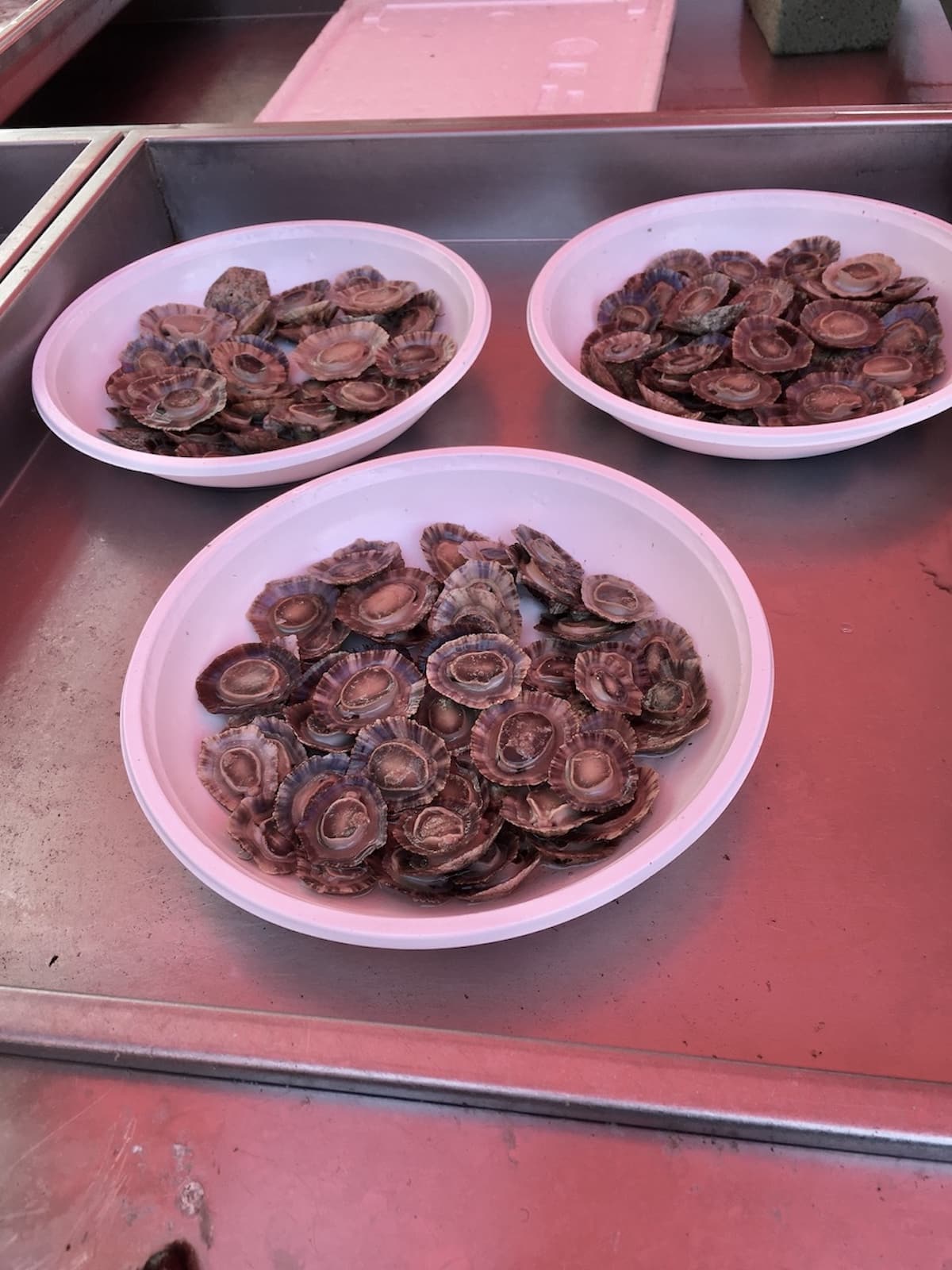 Shellfish, Catania, Sicily. Photo by ConsumerMojo.com..
