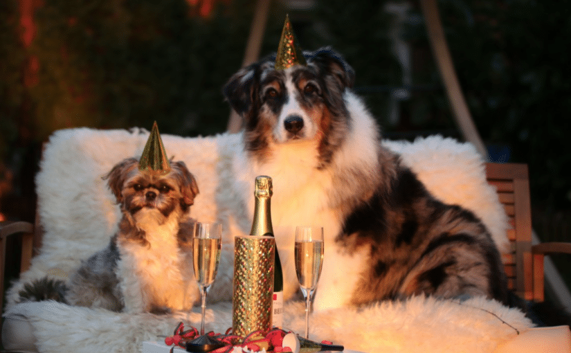 happy-year-of-the-dog