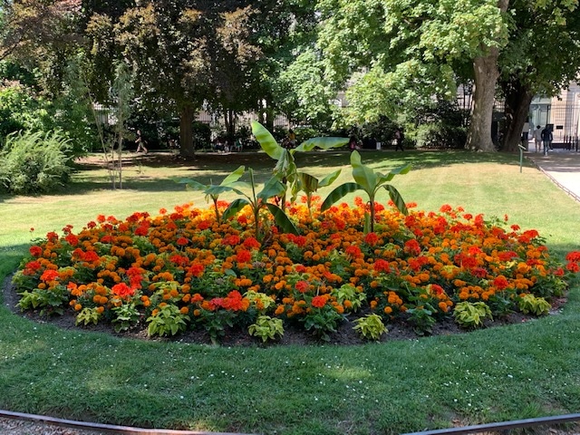 Red and orange flowers in the Luxembourg Gardens, Paris, France. Photo by ConsumerMojo.com