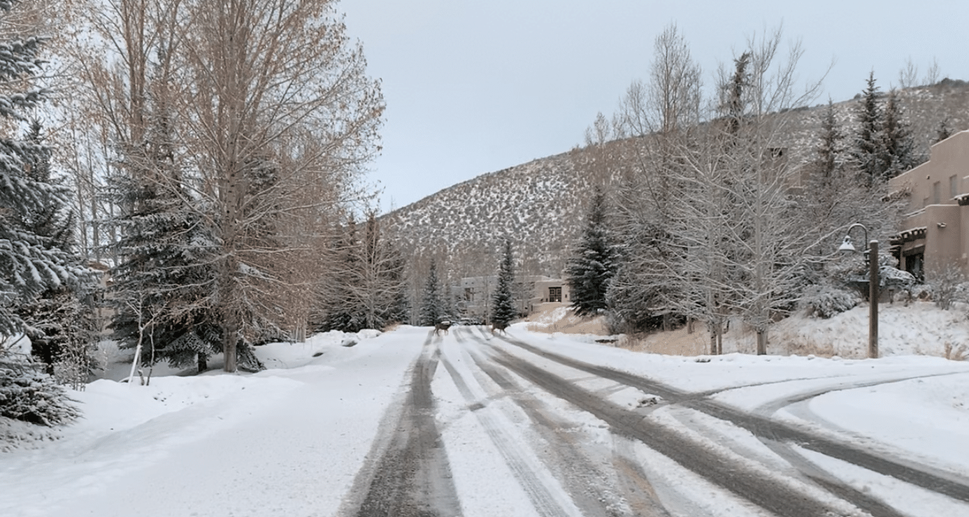 Mule Deer Crossing the road in Edwards, Colorado