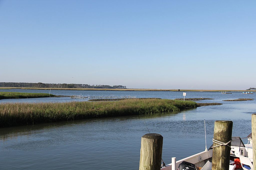 Chincoteague Bay, Photo by Rob Shawley, Creative Commons License