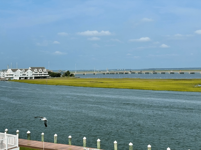 View from Comfort Suites Hotel Room in Chincoteague, Virginia. Photo by ConsumerMojo.com