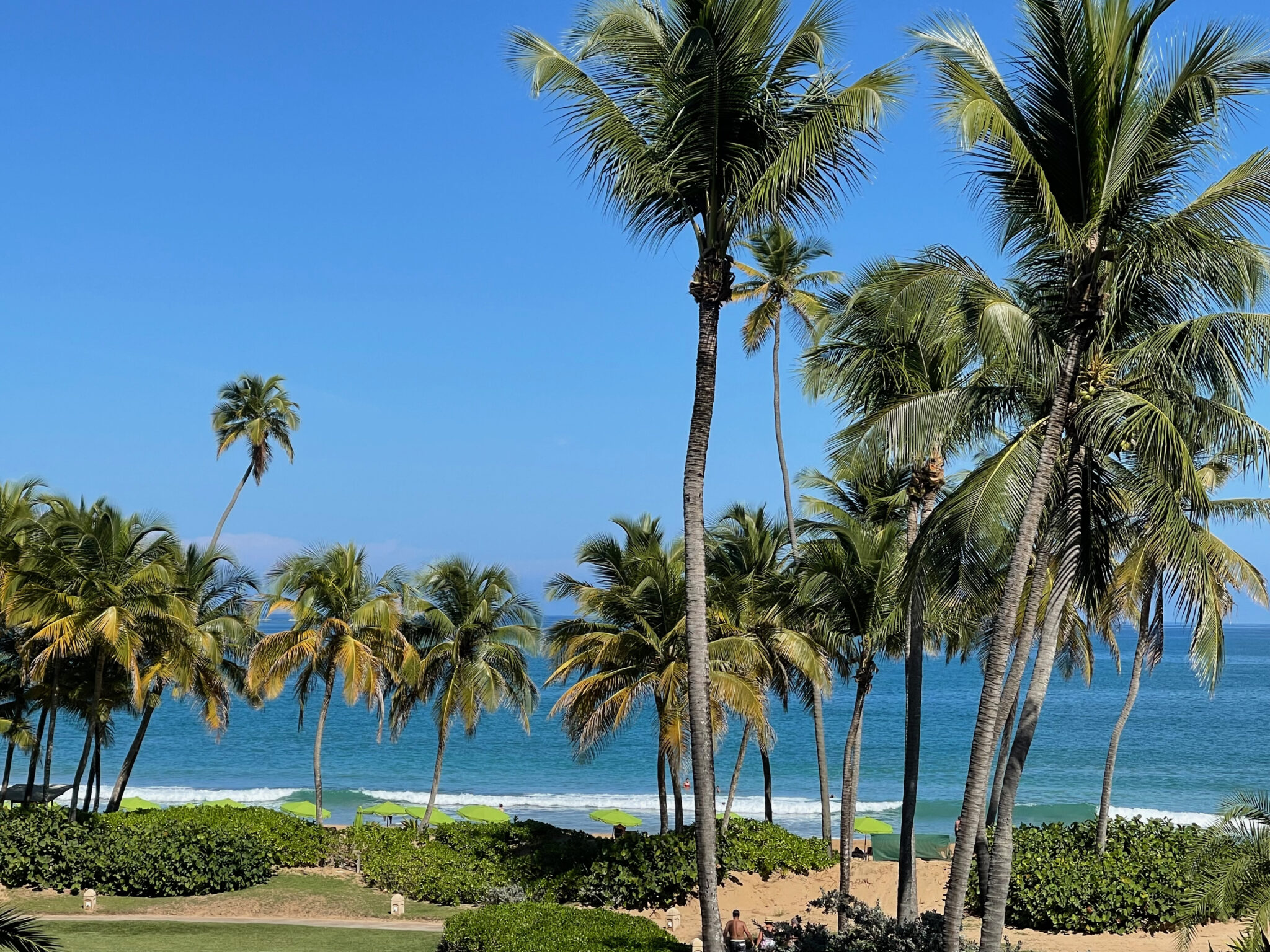 Beach at Wyndham Grand Rio Mar, Puerto Rico. Photo by ConsumerMojo.com