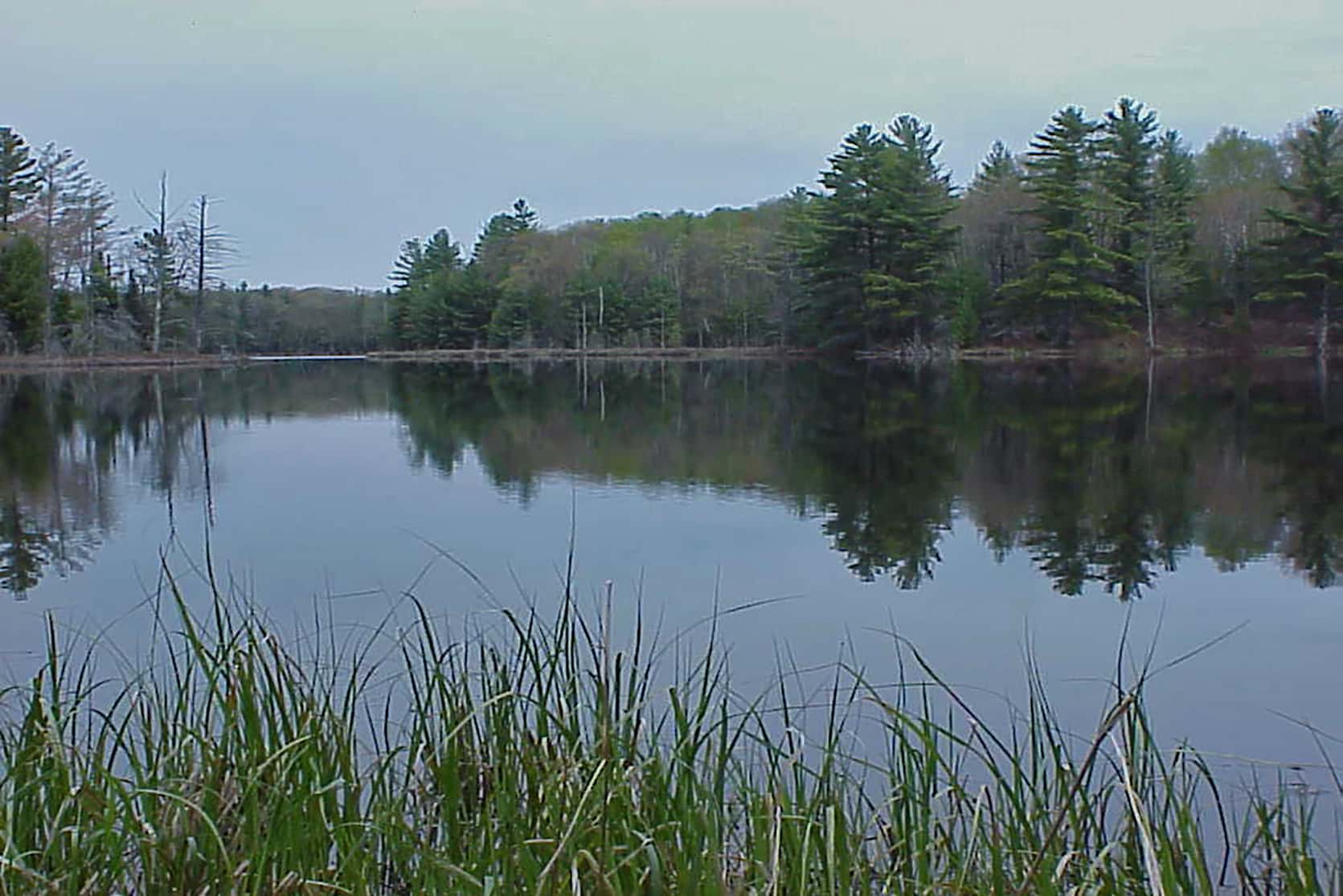 Lake in Eagle River - Florence Ranger District