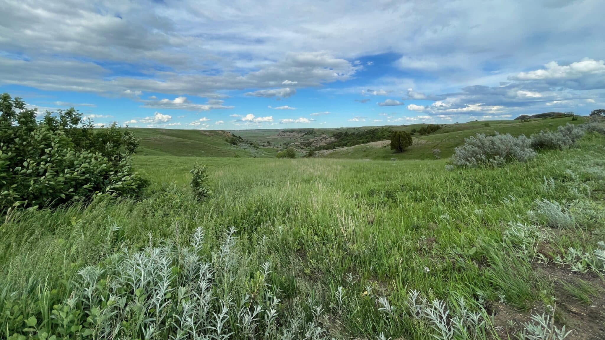 The prairie begins to turn to badlands.