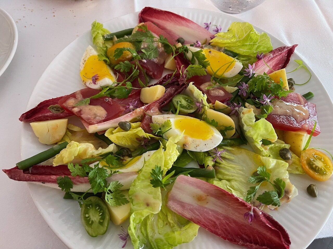 Salad nicoise at Restaurant Salon