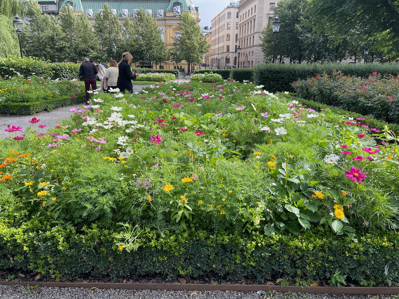 Kungstragarden, Flowers in Stockholm