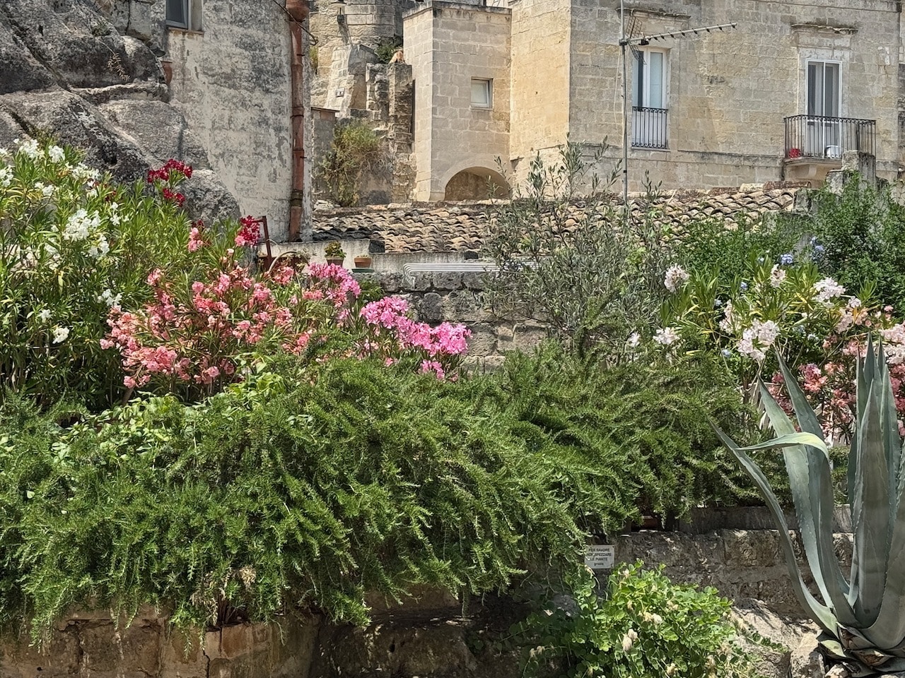 Garden in Matera. Photo by ConsumerMojo.com
