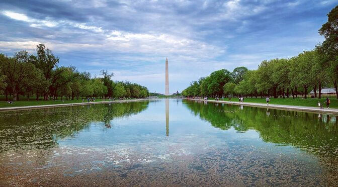 Trump Looking Up From the Reflecting Pool