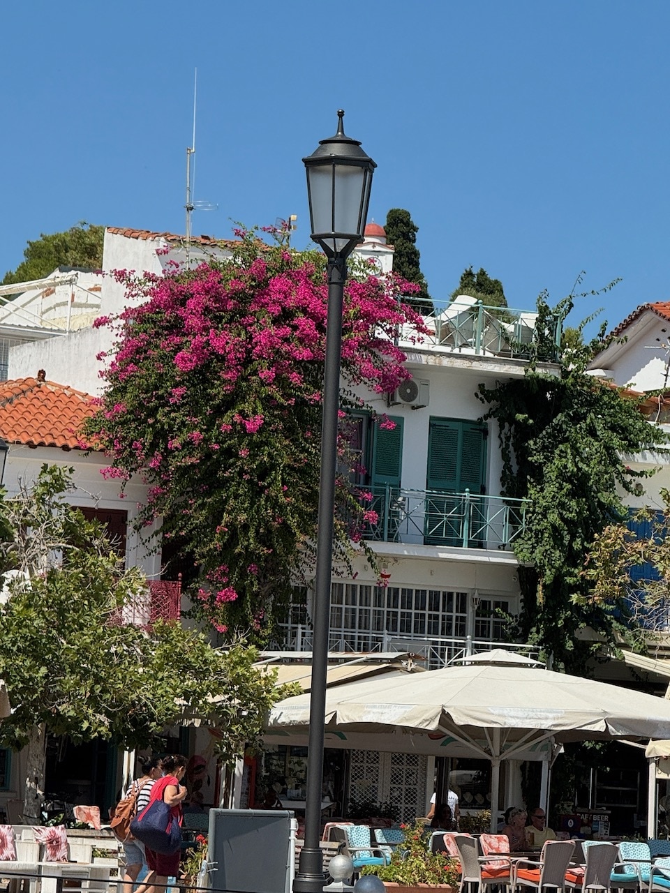 Skiathos port and Bougainvilla. Photo by ConsumerMojo.com